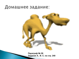 Верблюд – «Царь» домашних животных, слайд 17