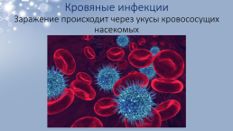 Инфекционные заболевания человека, слайд 10
