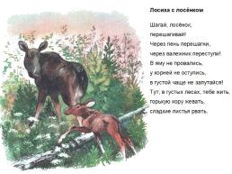 Иллюстрации Евгения Чарушина, слайд 15