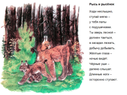 Иллюстрации Евгения Чарушина, слайд 17