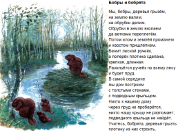Иллюстрации Евгения Чарушина, слайд 18