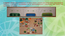 Тренинговое занятие по использованию игрового дидактического пособия экологического содержания, слайд 9
