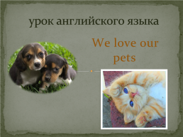 Урок английского языка. We love our pets