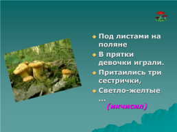В царстве грибов. (2 класс), слайд 8
