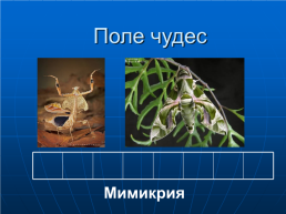 Эволюция органического мира, слайд 4
