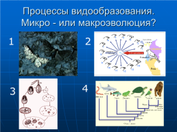 Эволюция органического мира, слайд 9