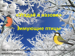 «Угадай и назови» зимующие птицы, слайд 1