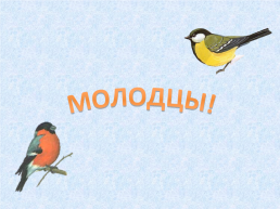 «Угадай и назови» зимующие птицы, слайд 19