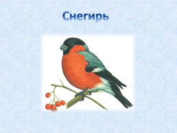 «Угадай и назови» зимующие птицы, слайд 4