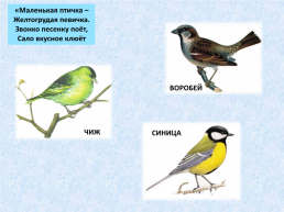 «Угадай и назови» зимующие птицы, слайд 5