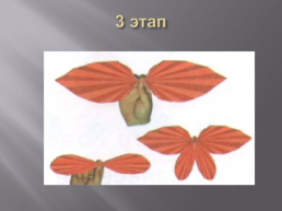 Бабочки. Как изготовить их из листа бумаги?, слайд 13