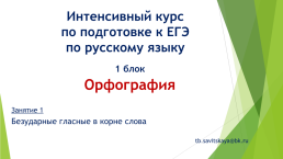 Интенсивный курс по подготовке к ЕГЭ по русскому языку, слайд 1
