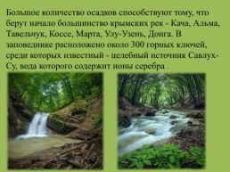 Крымский природный заповедник, слайд 4