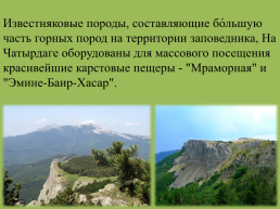 Крымский природный заповедник, слайд 5