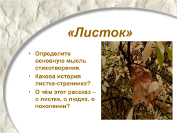 Стихотворения М.Ю.Лермонтова «Три пальмы», «Листок», «Утёс», слайд 11