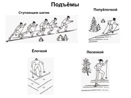 Основные элементы передвижения на лыжах, слайд 14