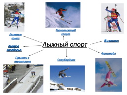 Основные элементы передвижения на лыжах, слайд 4