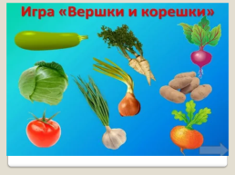 Овощи и их польза, слайд 10