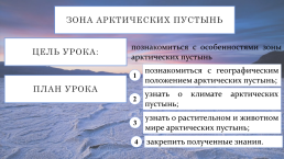 Урок по теме: «Зона арктических пустынь», слайд 13