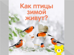Птицы зимой для 4-6 лет