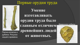 ИсториЯ древнего мира «Древнейшие люди», слайд 10