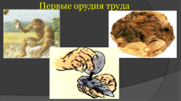 ИсториЯ древнего мира «Древнейшие люди», слайд 11