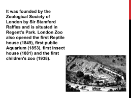 London zoo, слайд 4