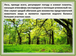 Лесное хозяйство и лесозаготовка, его структура, слайд 13