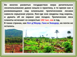 Лесное хозяйство и лесозаготовка, его структура, слайд 17