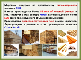 Лесное хозяйство и лесозаготовка, его структура, слайд 39