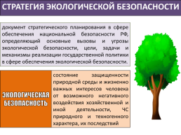 Экологическое право, слайд 8