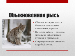 Красная книга Московской области, слайд 4