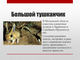 Красная книга Московской области, слайд 6
