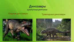 Динозавры, слайд 6