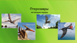 Динозавры, слайд 8