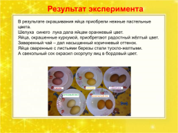Окрашивание яиц экологичным способом, слайд 14