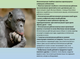 Раздражительность и поведение животных, слайд 6