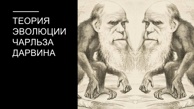 Теория эволюции Чарльза Дарвина