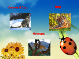 Экологическая игра «Почти всё о животном мире», слайд 41