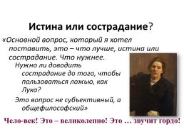 Проблемно-диалогическое обучение на уроках русского языка и литературы, слайд 11