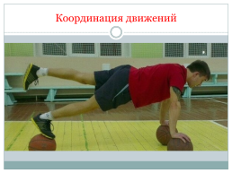 Развитие координации движений посредством специальных упражнений баскетболиста, слайд 15