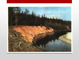 Сочинение по картине Левитана «Лесистый берег», слайд 2