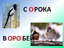 Урок русского языка «Построение слов», слайд 5