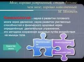 Образовательная кинезиология как составляющая часть работы учителя-логопеда, слайд 11