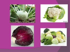 Обработка капустных и луковых овощей, слайд 3