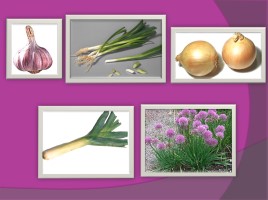 Обработка капустных и луковых овощей, слайд 8