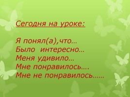 Урок обобщение «Царство Грибы», слайд 21