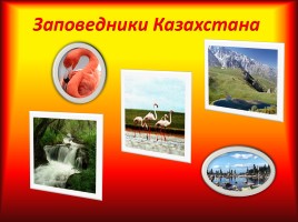 Заповедники Казахстана, слайд 1
