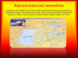 Заповедники Казахстана, слайд 9