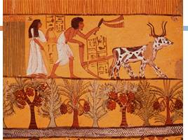 Особенности художественной культуры Древнего Египта, слайд 12